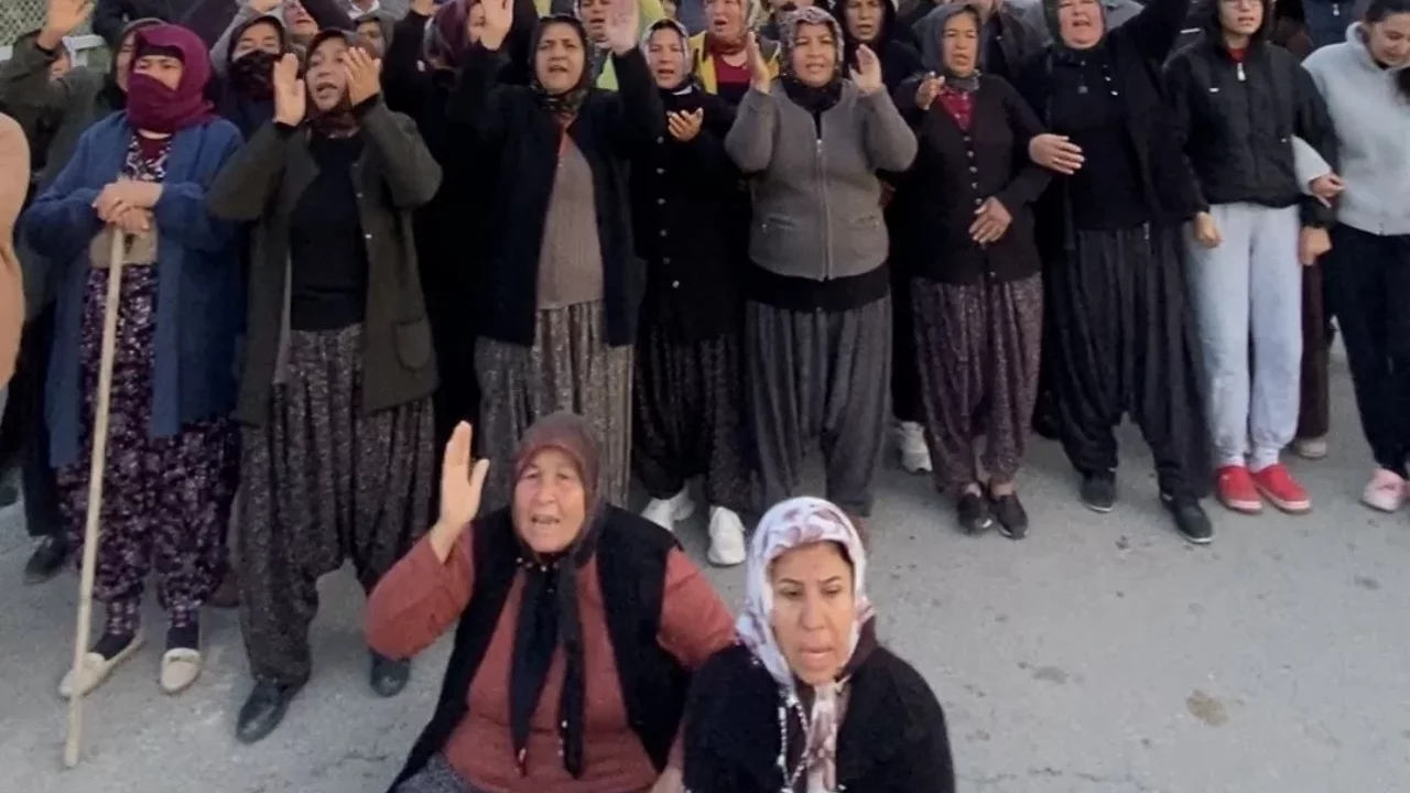 Mersin’de ormanlık alana ekili narenciye bahçelerinin kaldırılması kararına tepki