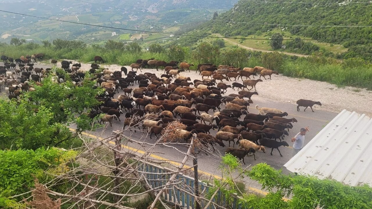 Toroslar’da Göçerlerin Zirve Yolculuğu Yeniden Başladı