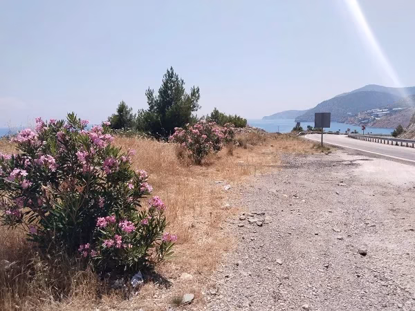 YOL KENARLARINDA YANGIN ÖNLEMİ ÇAĞRISI