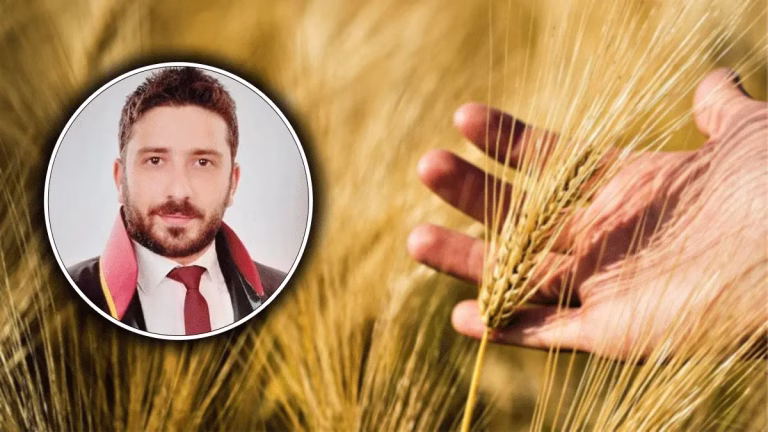 Şanlıurfalı çiftçilere kritik uyarı! “Ürünüm gitti” demeden önce bunu bilin