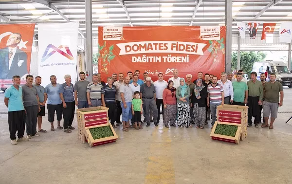 ERDEMLİLİ ÜRETİCİLERE DOMATES FİDESİ DESTEĞİ