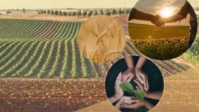 Tarım ve Orman Bakanlığı'nın 2026 yılı Tarımsal Amaçlı Örgütlerin Derecelendirilmesi