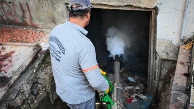 Mersin Büyükşehir Belediyesi, kent genelinde halk sağlığını korumak ve zararlı