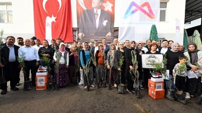 Mersin Büyükşehir Belediyesi Tarımsal Hizmetler Dairesi Başkanlığı tarafından kent genelinde