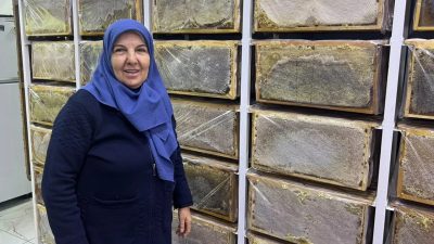 Ağrı’da hava sıcaklıklarının düşmesiyle arıcılıkta kış dönemi başladı. Aladağ Balı
