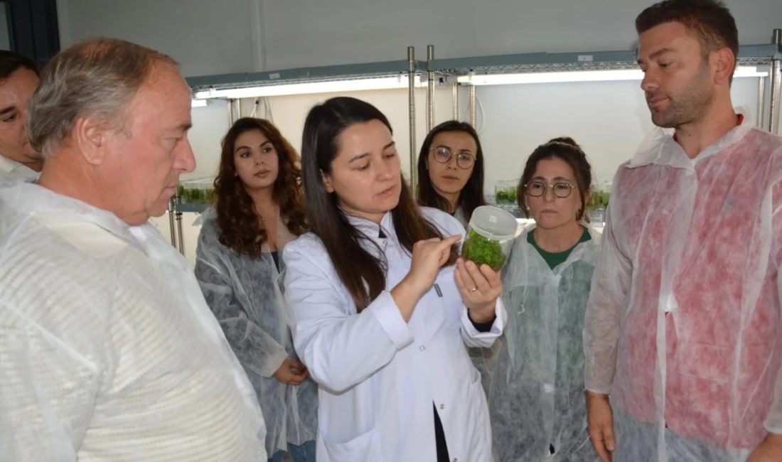 Balıkesir Büyükşehir Belediyesi Kırsal Hizmetler Daire Başkanlığı bünyesinde faaliyet gösteren