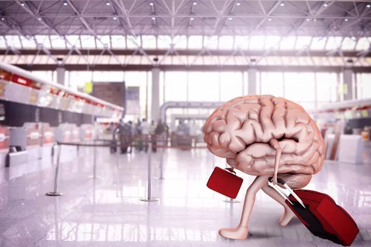 TÜİK’in 2025 verilerine göre yükseköğretim mezunlarının beyin göçü oranı bir
