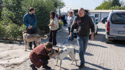 Ege Üniversitesi Rektörünün talebi ve Bornova Kaymakamının talimatıyla üniversite kampüsündeki