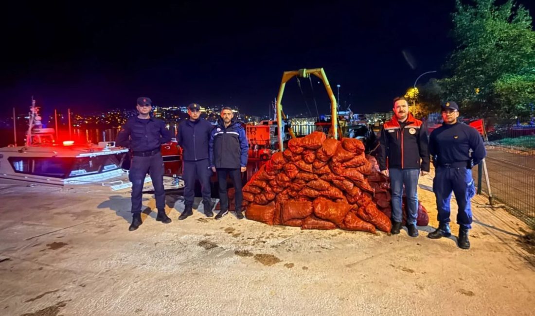Bursa'nın Gemlik ilçesi Kumsaz mevkiinde yapılan denetimlerde ele geçirilen canlı