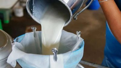 Tarım ve Orman Bakanlığı, çiğ süt desteği uygulamasında değişikliğe gitti.