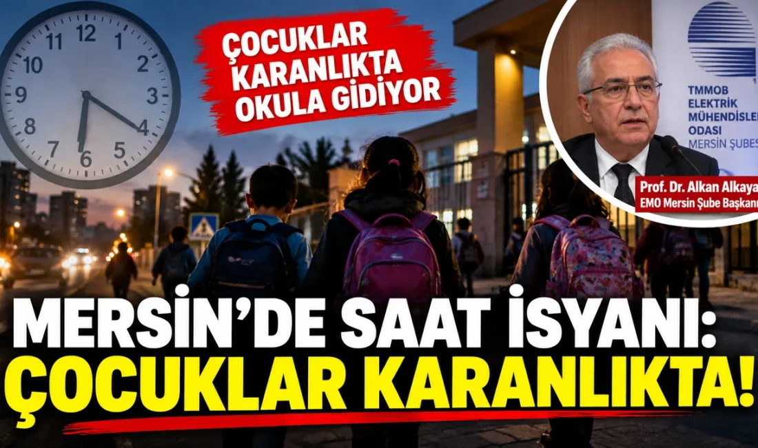 EMO Mersin Şube Başkanı Prof. Dr. Alkan Alkaya, kalıcı yaz