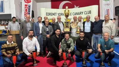 Edremit dünya en büyük Yorkshire Kanarya Yarışması’na ev sahipliği yaptı.