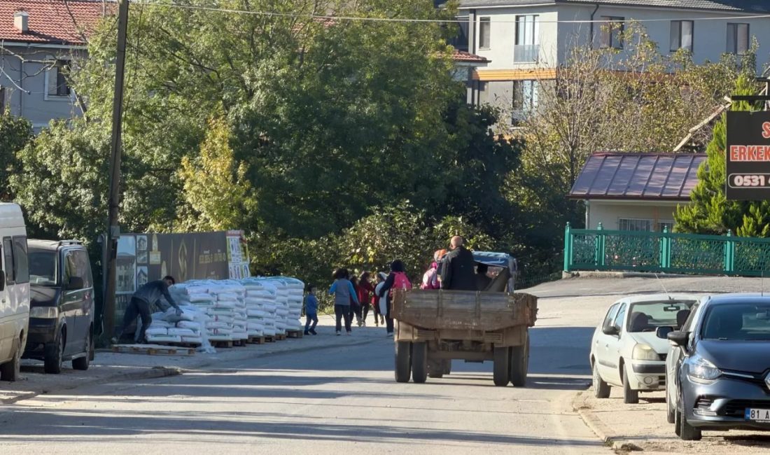 Düzce genelinde mahalle aralarında kaldırımların araçlar tarafından otopark olarak kullanılması,