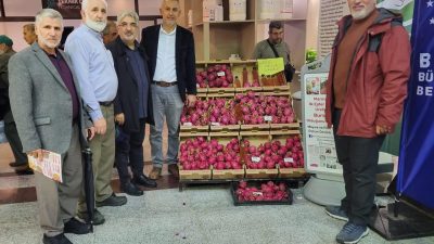 Esnaf ve Sanatkârlar Derneği (ESDER) Bursa Şubesi, Bursa Tarım, Hayvancılık