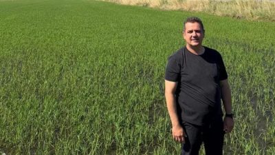 İpsala Çeltik Üreticileri Birliği Başkanı Hüseyin Bakan, yeni sezon çeltik