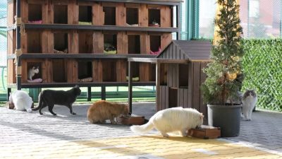 Kayseri Kocasinan Belediyesi, Ekim ayı meclis toplantısını Kocasinan Belediye Başkanı