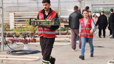 Keçiören Belediyesi Park ve Bahçeler Müdürlüğü bünyesinde faaliyet gösteren serada,
