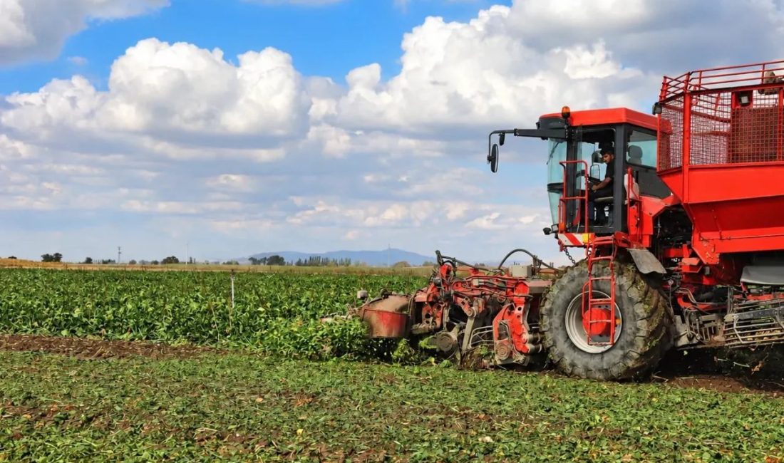 Konya Şeker, 2026-2027 kampanya döneminde üreticilerine 325 milyon 95 bin