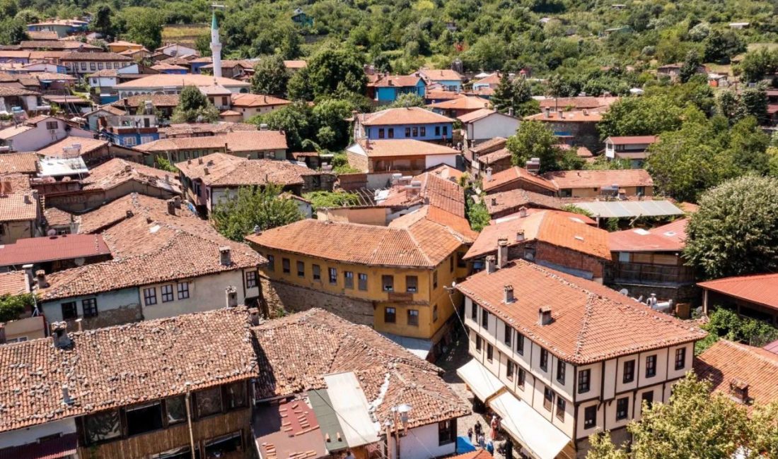 Kültür ve Turizm Bakanlığının, kültür varlıklarının korunmasına yönelik başvurular ve