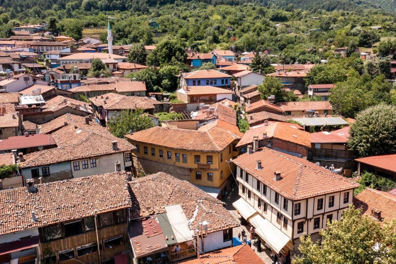 Kültür ve Turizm Bakanlığının, kültür varlıklarının korunmasına yönelik başvurular ve