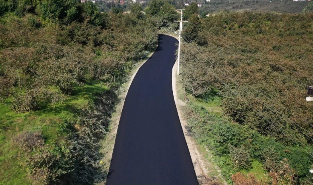 Ordu Büyükşehir Belediyesi İkizce’de bulunan 5 km’lik güzergahta sıcak asfalt