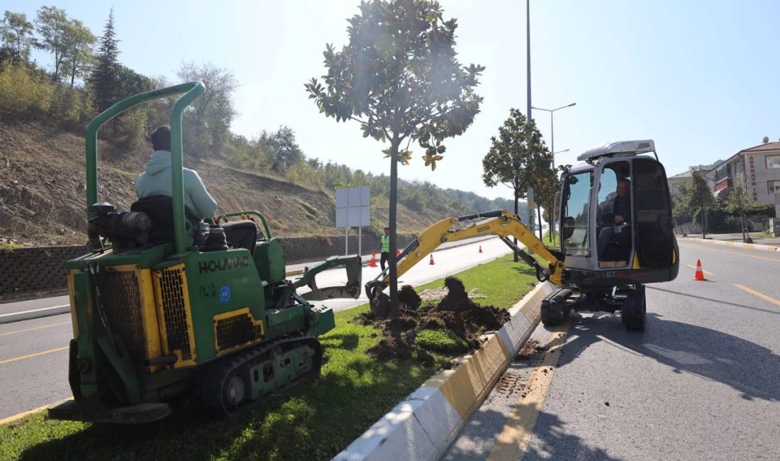 Sakarya Büyükşehir Belediyesi'nin öncülüğünde tarihte ilk kez fiilen başlayan 15,2