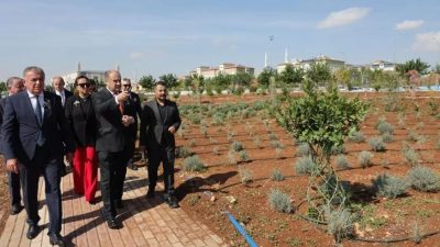 Şanlıurfa Büyükşehir Belediye Başkanı Mehmet Kasım Gülpınar ile Romanya’nın Pitești