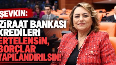 CHP Adana Milletvekili, TBMM Başkanlık Divanı Üyesi Dr. Müzeyyen Şevkin,