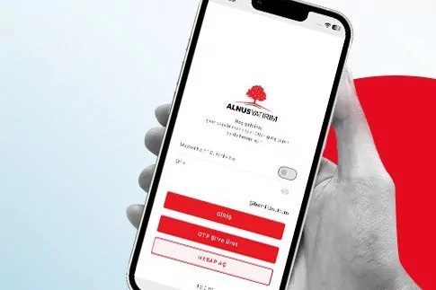 Alnus Yatırım Menkul Değerler A.Ş., Sermaye Piyasası Kurulu (SPK) kararı