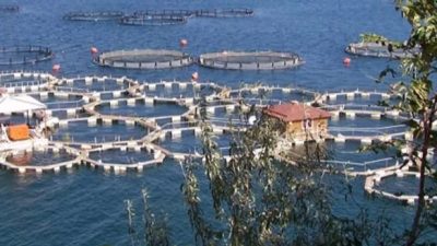 Tarım ve Orman Bakanı İbrahim Yumaklı, IPARD III Programı’nın 11.