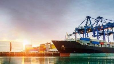 Denizcilik Genel Müdürlüğü, Türk sahipli deniz ticaret filosunun 1 Temmuz