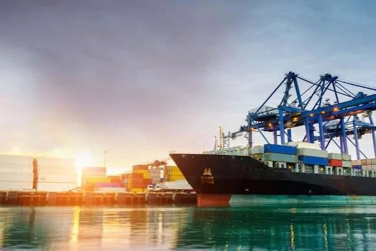 Denizcilik Genel Müdürlüğü, Türk sahipli deniz ticaret filosunun 1 Temmuz