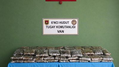Millî Savunma Bakanlığı, Van hudut hattında görev yapan Hudut Kartalları